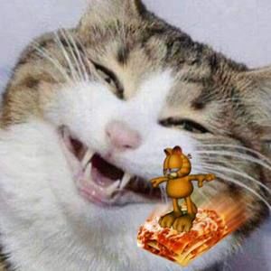 Meet your Posher, Marjorie